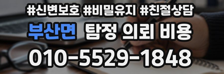 부산면 탐정 의뢰 비용