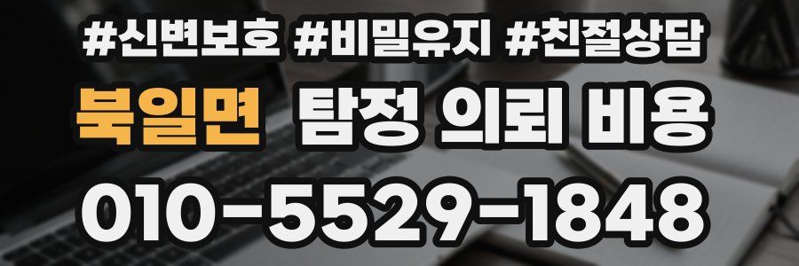 북일면 탐정 의뢰 비용