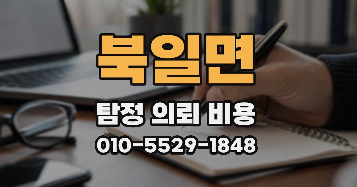 북일면 탐정 의뢰 비용