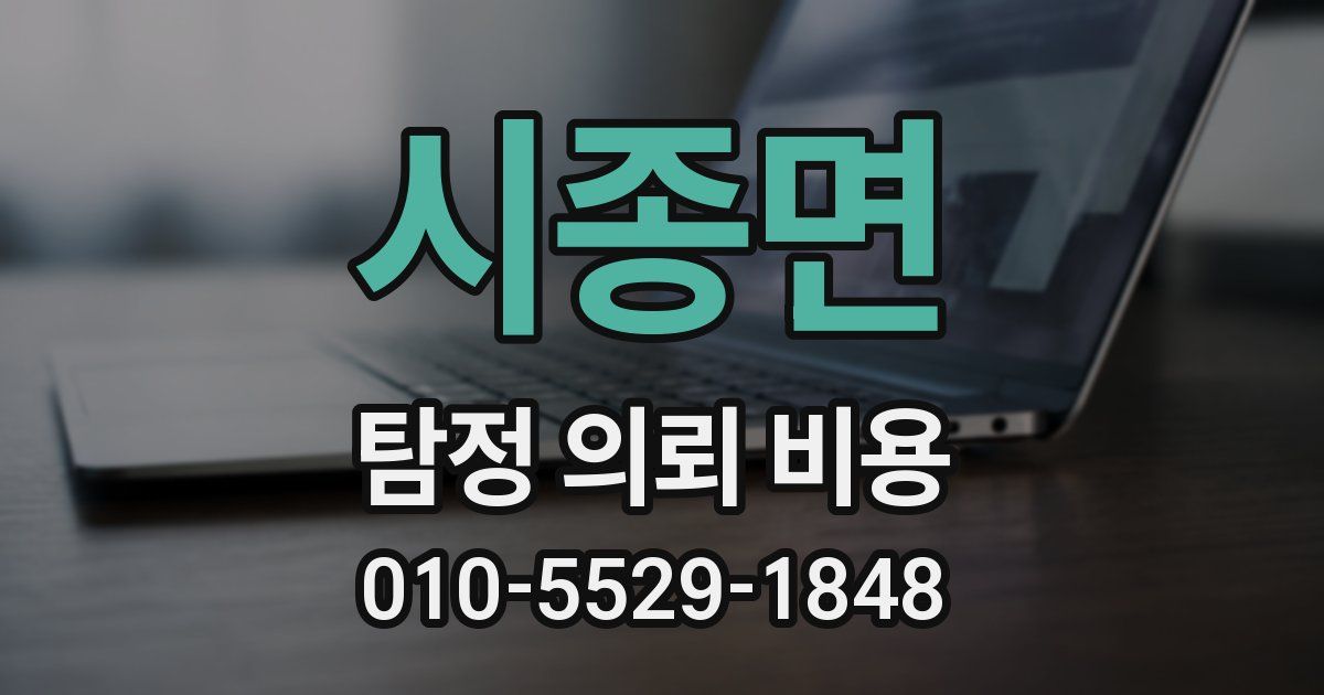 시종면 탐정 의뢰 비용