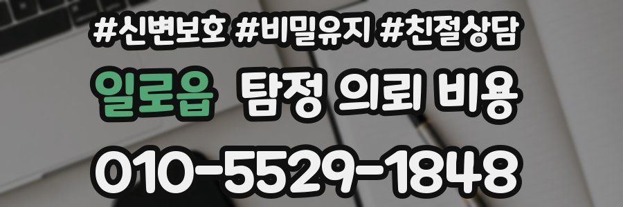 일로읍 탐정 의뢰 비용