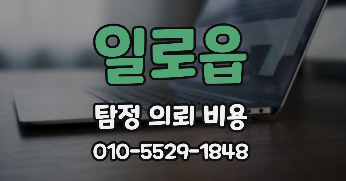 일로읍 탐정 의뢰 비용