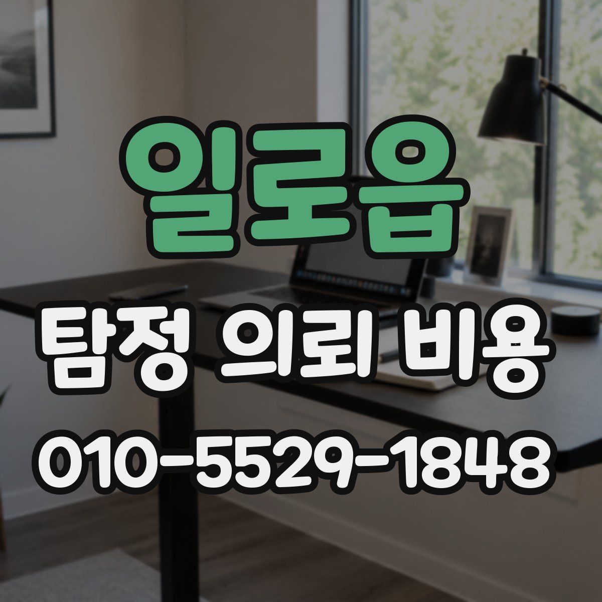 일로읍 탐정 의뢰 비용