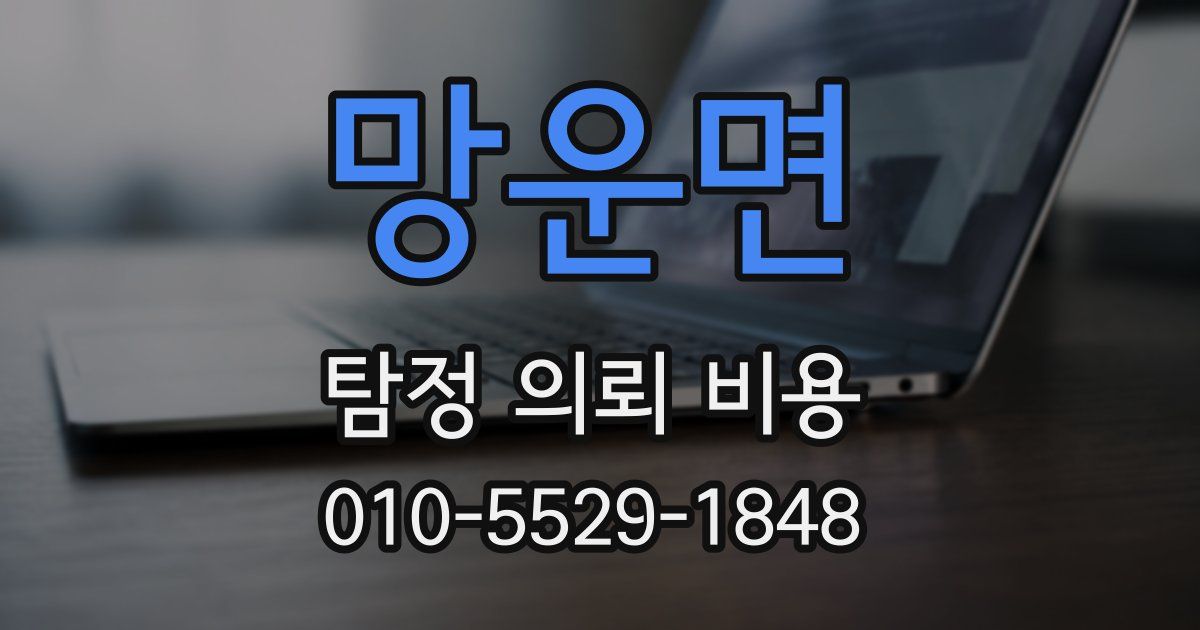 망운면 탐정 의뢰 비용