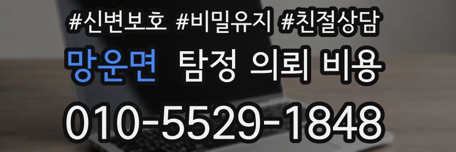 망운면 탐정 의뢰 비용