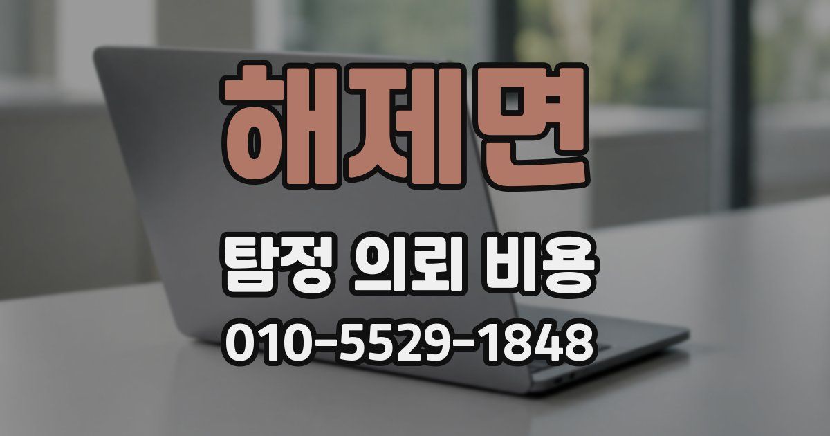 해제면 탐정 의뢰 비용