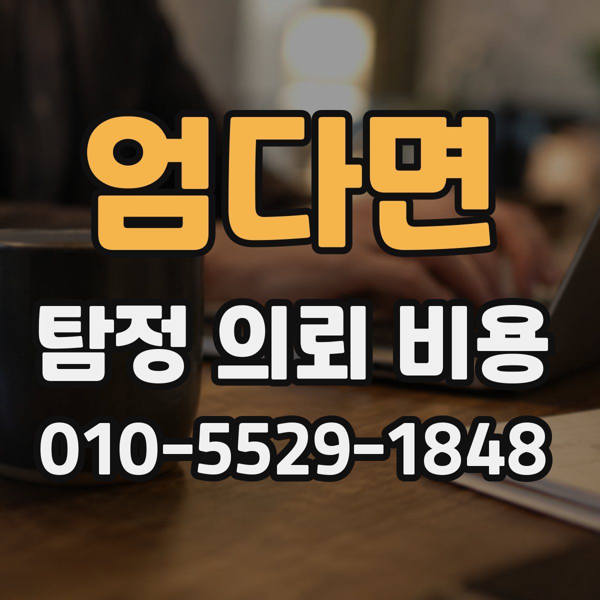 엄다면 탐정 의뢰 비용