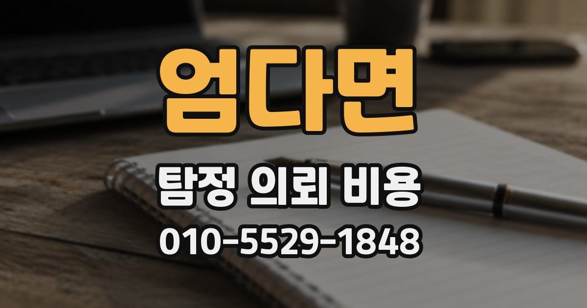 엄다면 탐정 의뢰 비용