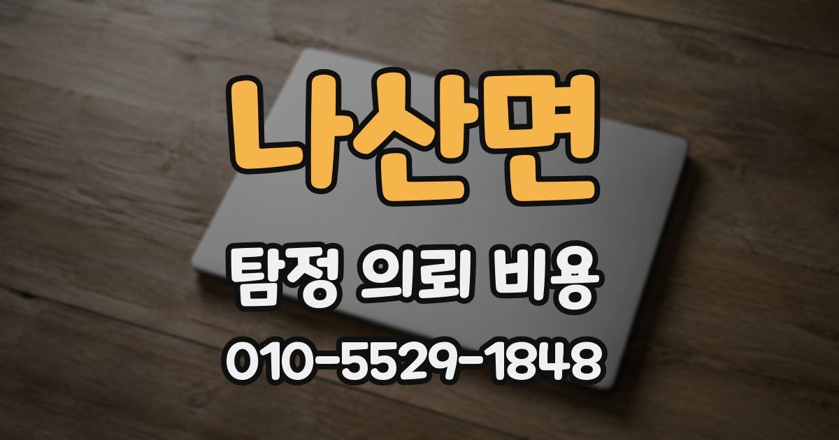 나산면 탐정 의뢰 비용