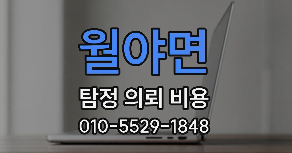 월야면 탐정 의뢰 비용