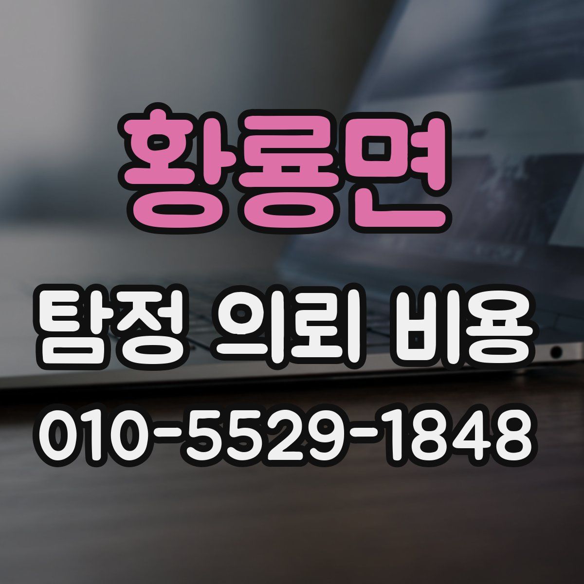 황룡면 탐정 의뢰 비용