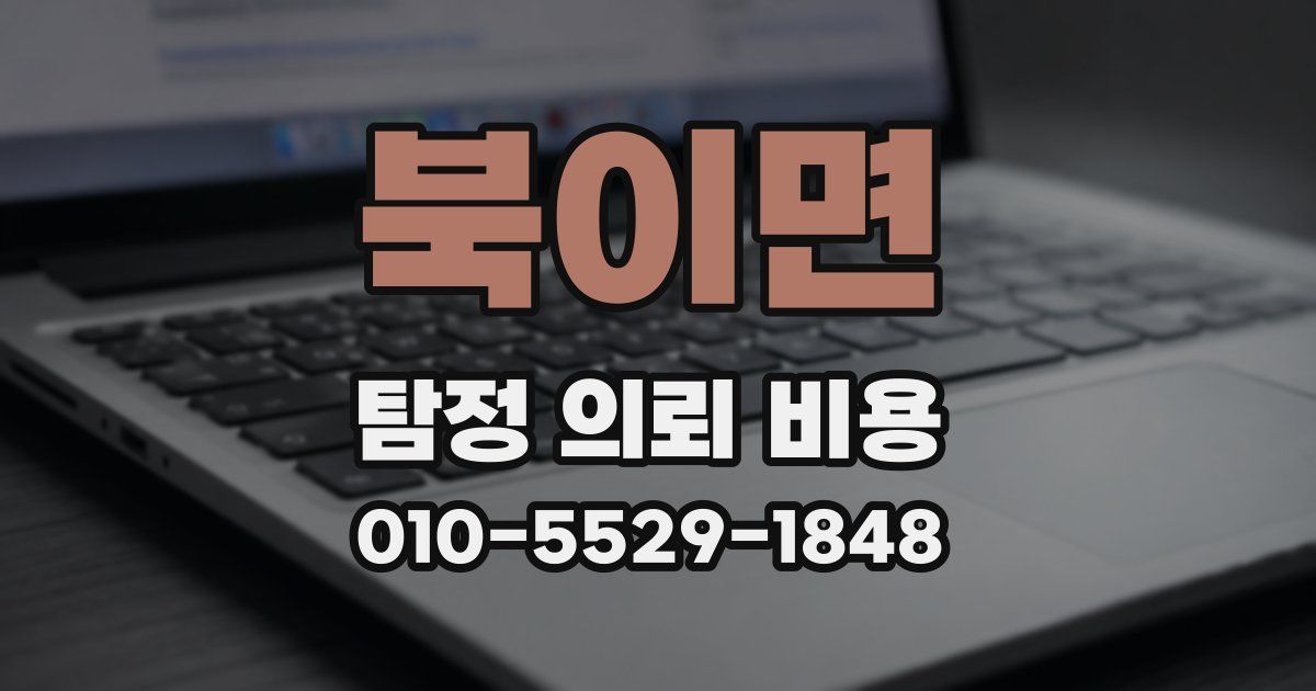북이면 탐정 의뢰 비용