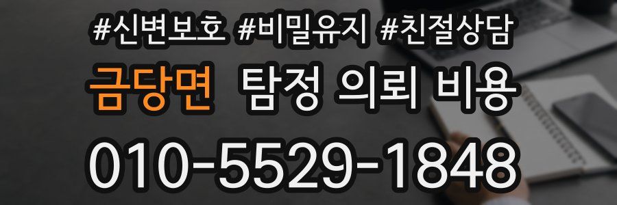 금당면 탐정 의뢰 비용