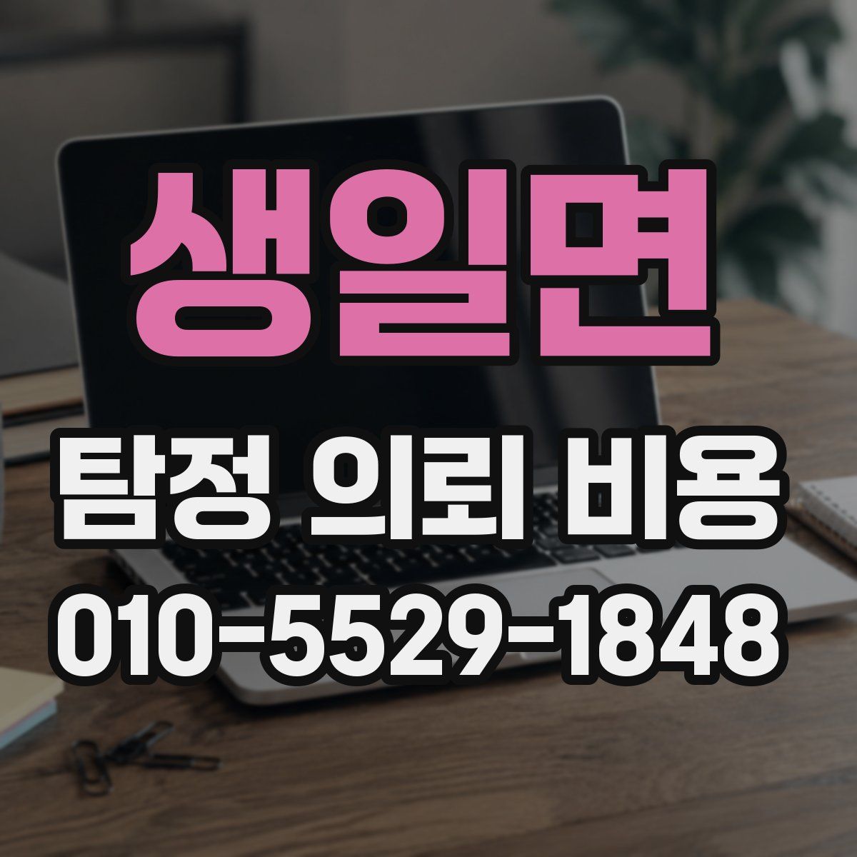 생일면 탐정 의뢰 비용