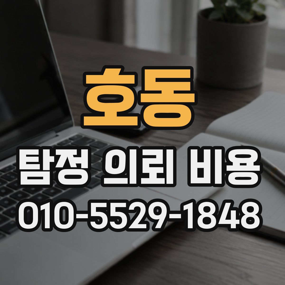 호동 탐정 의뢰 비용