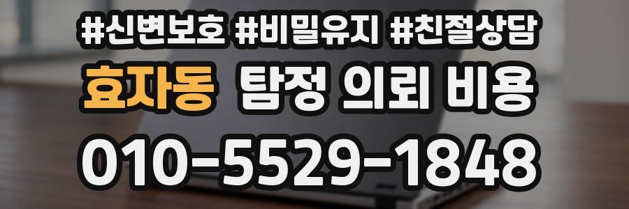 효자동 탐정 의뢰 비용