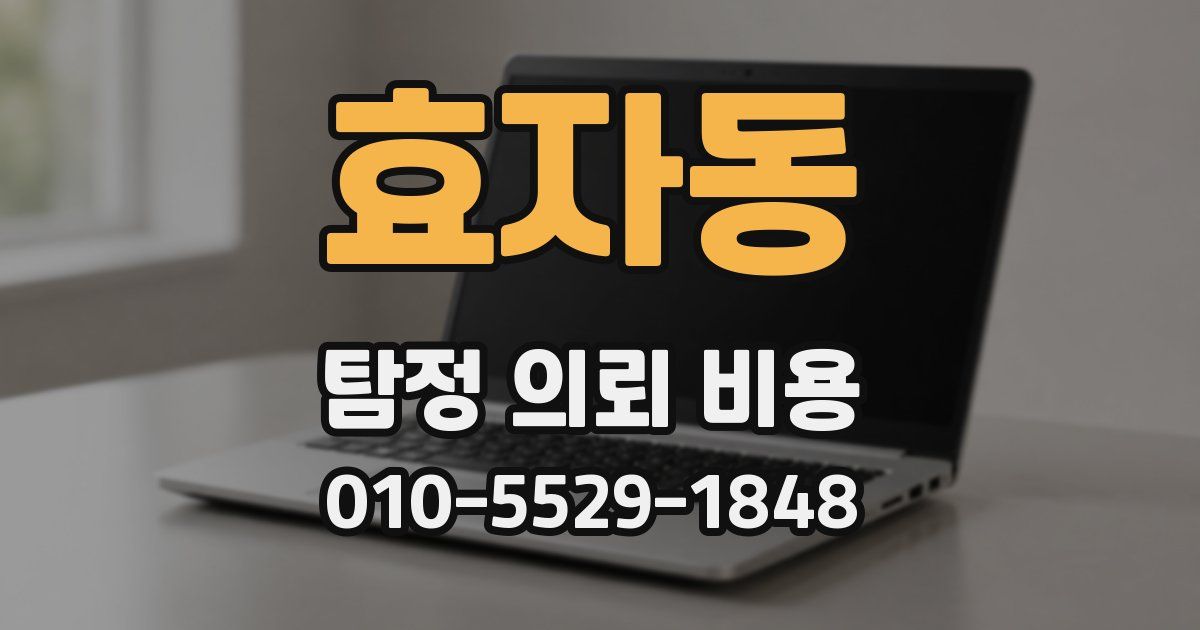 효자동 탐정 의뢰 비용