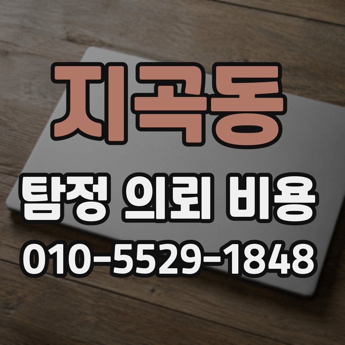 지곡동 탐정 의뢰 비용