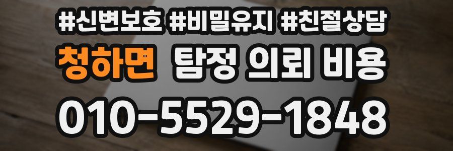 청하면 탐정 의뢰 비용