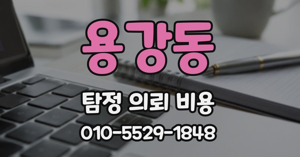 용강동 탐정 의뢰 비용