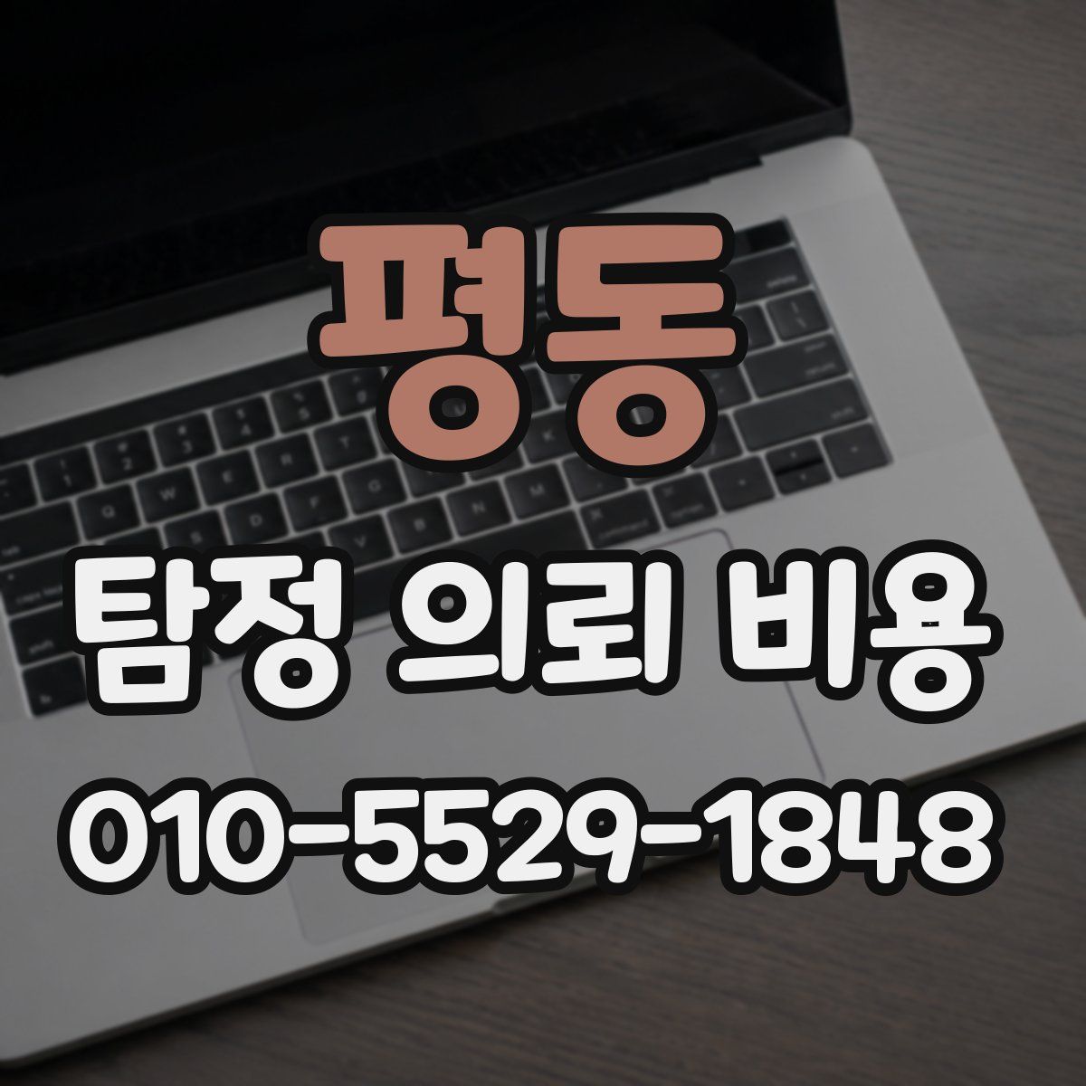 평동 탐정 의뢰 비용