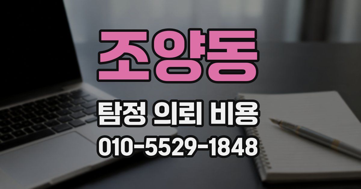 조양동 탐정 의뢰 비용
