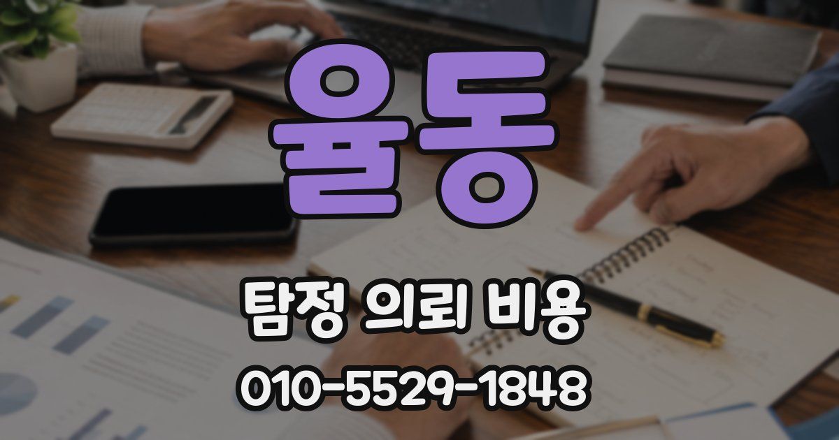 율동 탐정 의뢰 비용