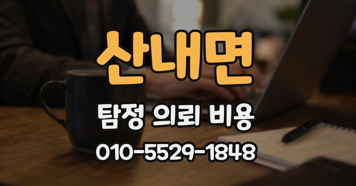 산내면 탐정 의뢰 비용