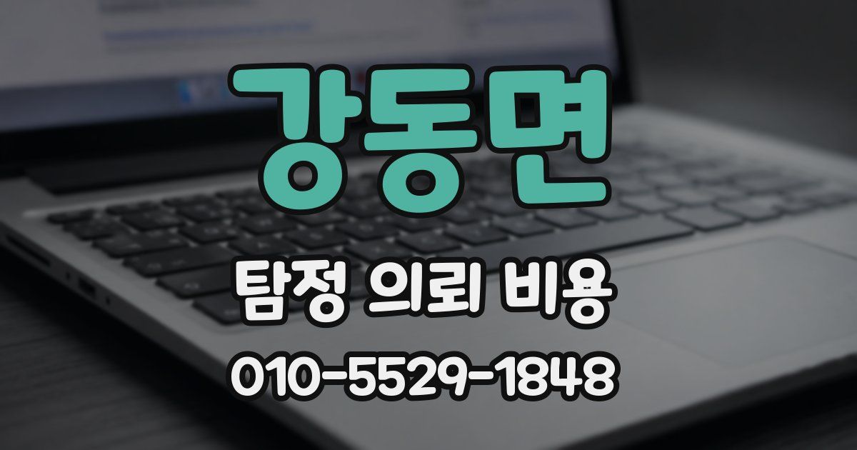 강동면 탐정 의뢰 비용