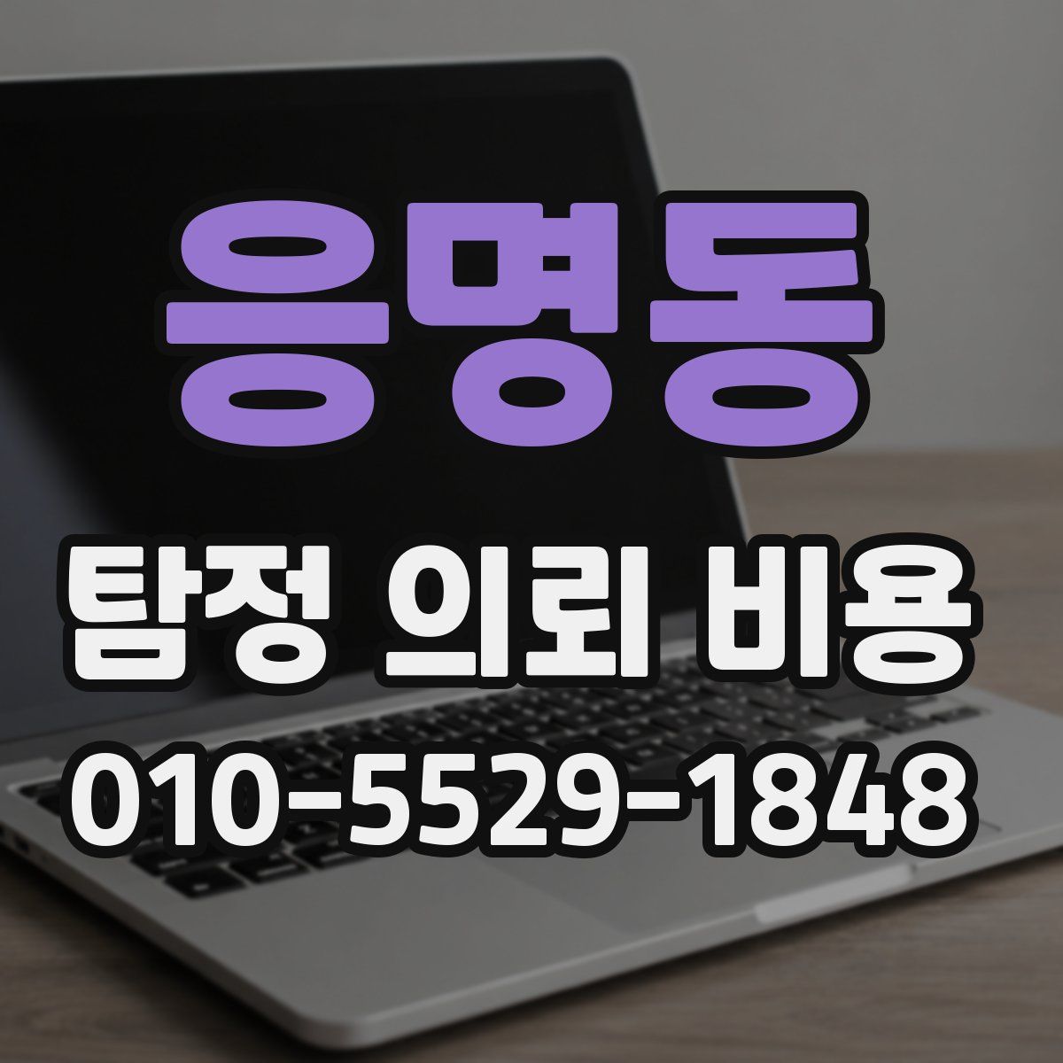 응명동 탐정 의뢰 비용