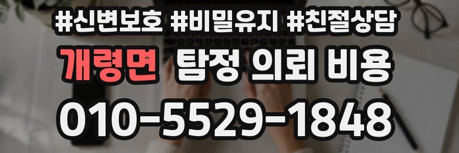 개령면 탐정 의뢰 비용