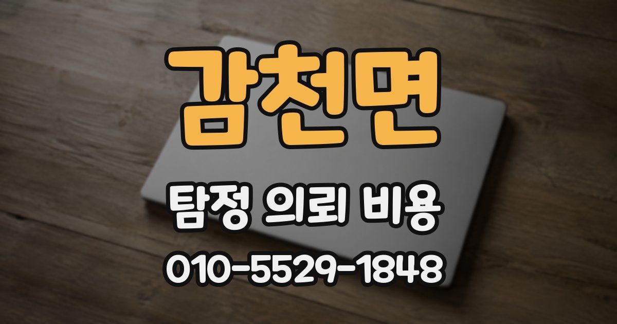 감천면 탐정 의뢰 비용