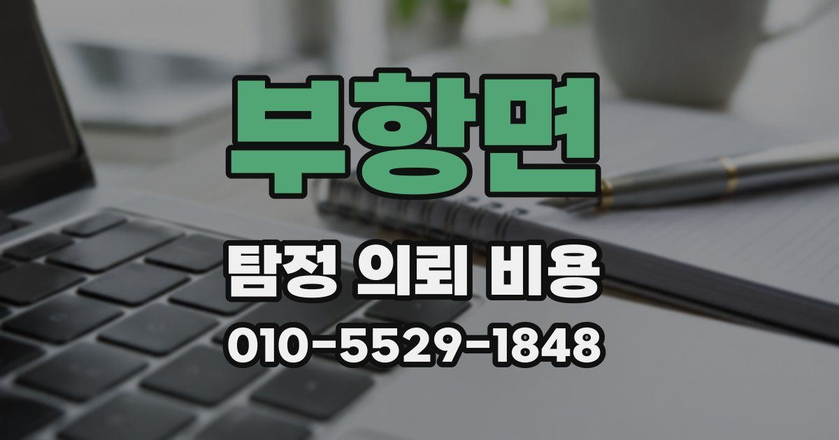 부항면 탐정 의뢰 비용