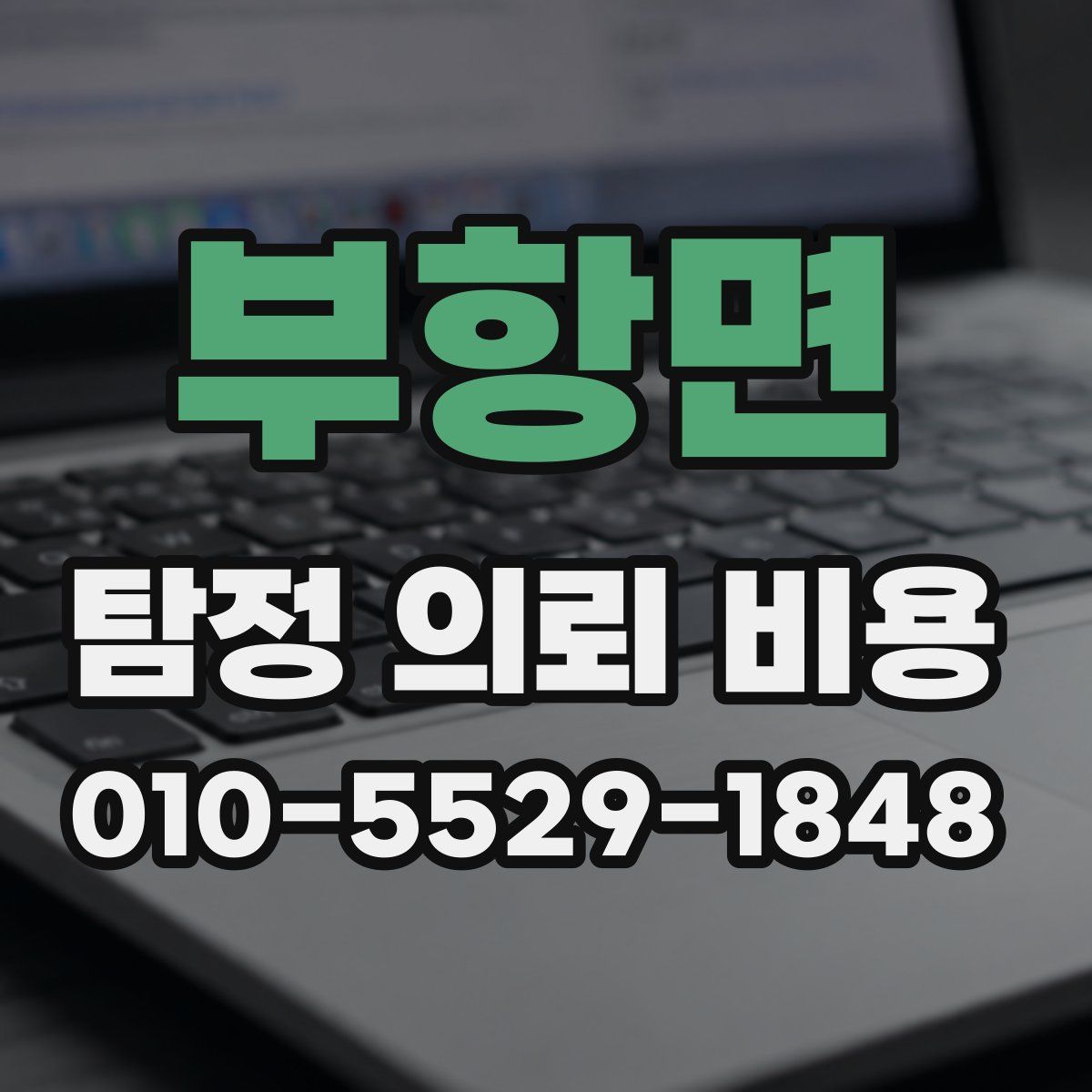 부항면 탐정 의뢰 비용