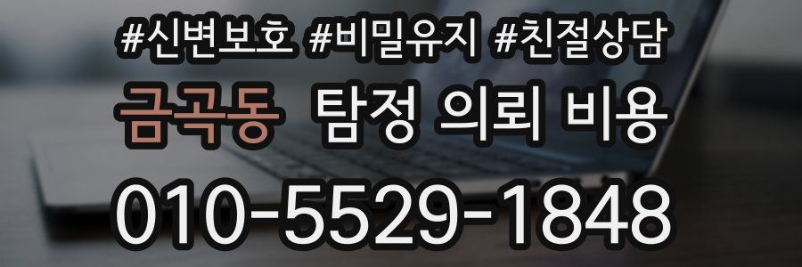 금곡동 탐정 의뢰 비용