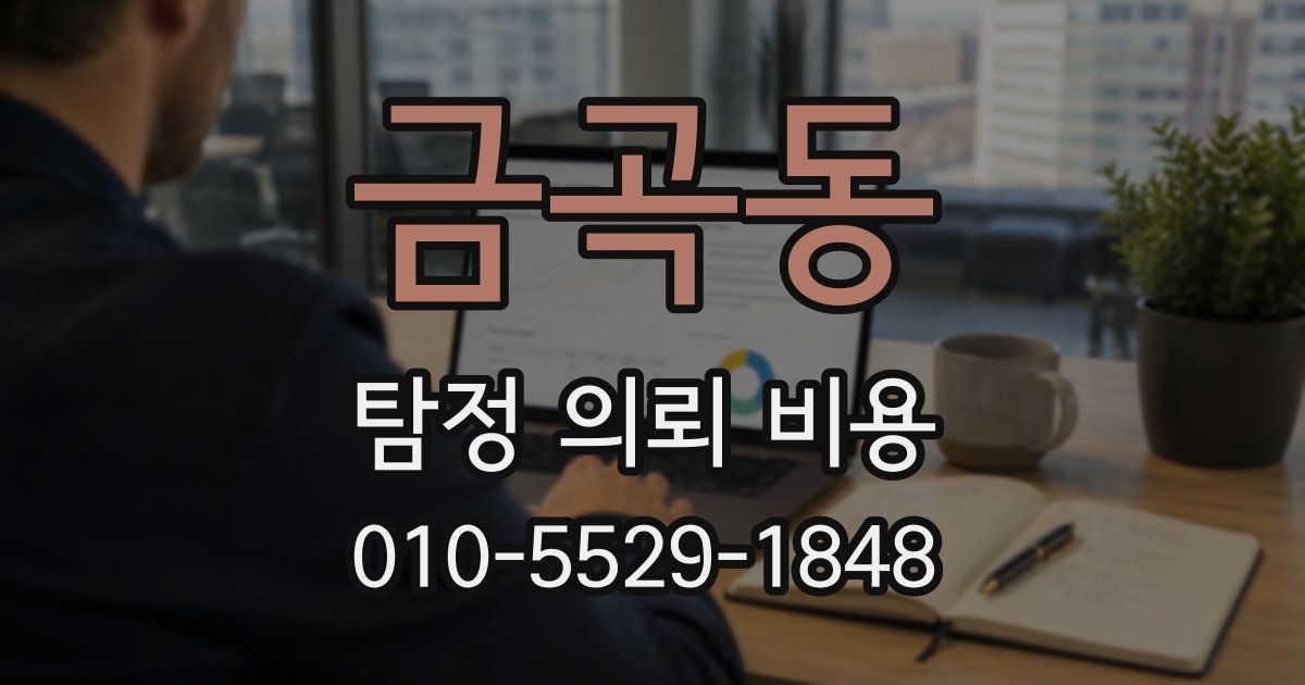 금곡동 탐정 의뢰 비용