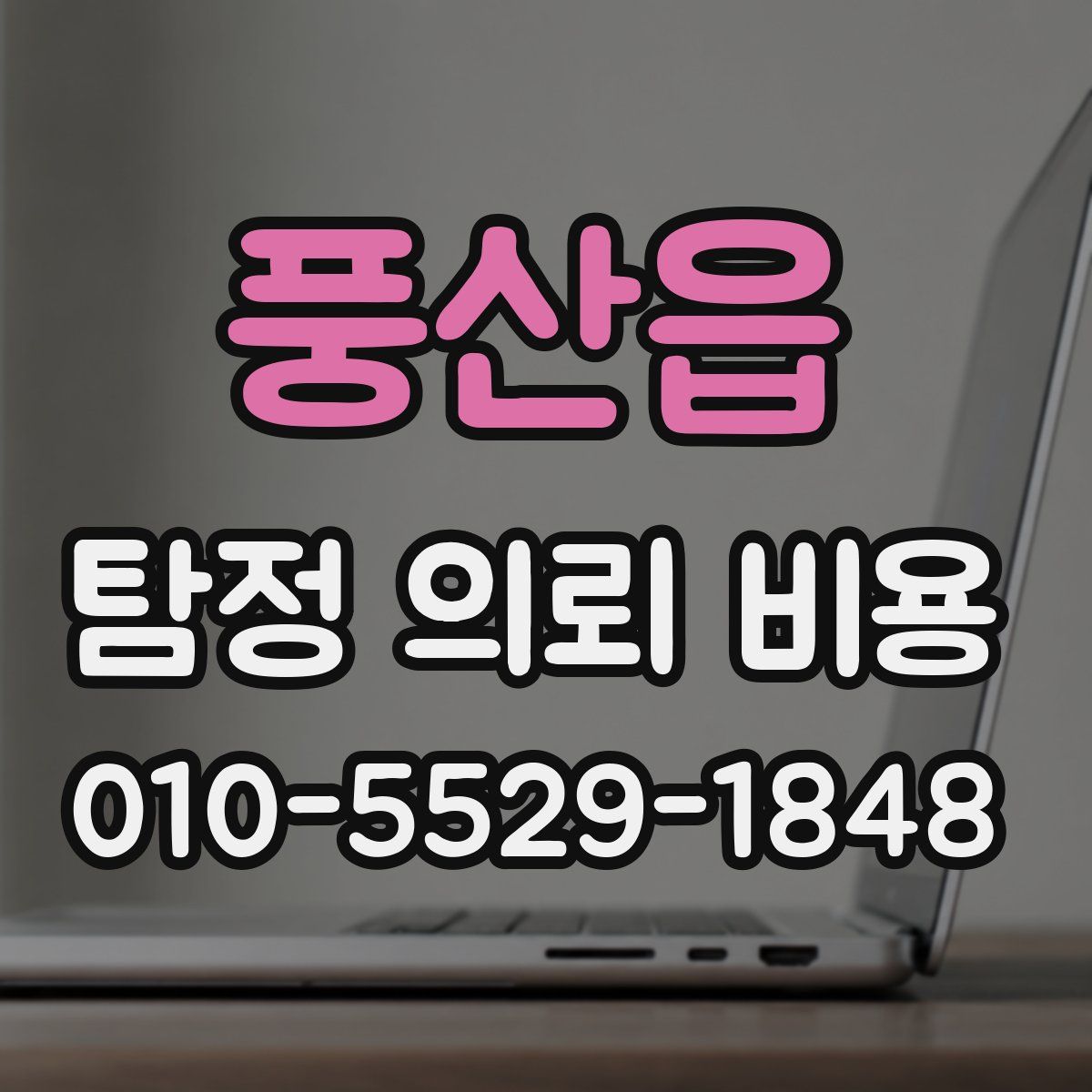 풍산읍 탐정 의뢰 비용