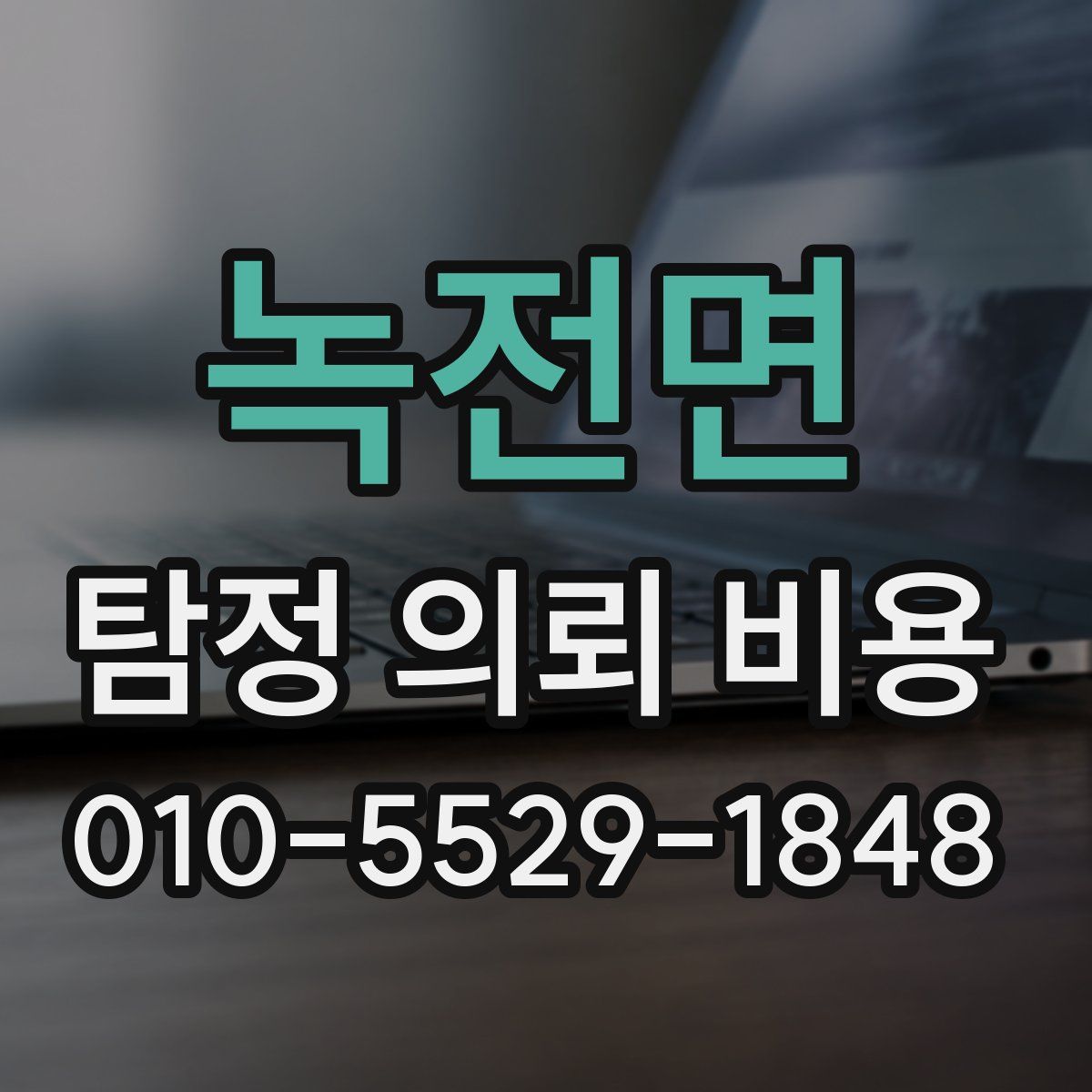 녹전면 탐정 의뢰 비용
