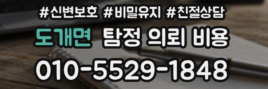 도개면 탐정 의뢰 비용