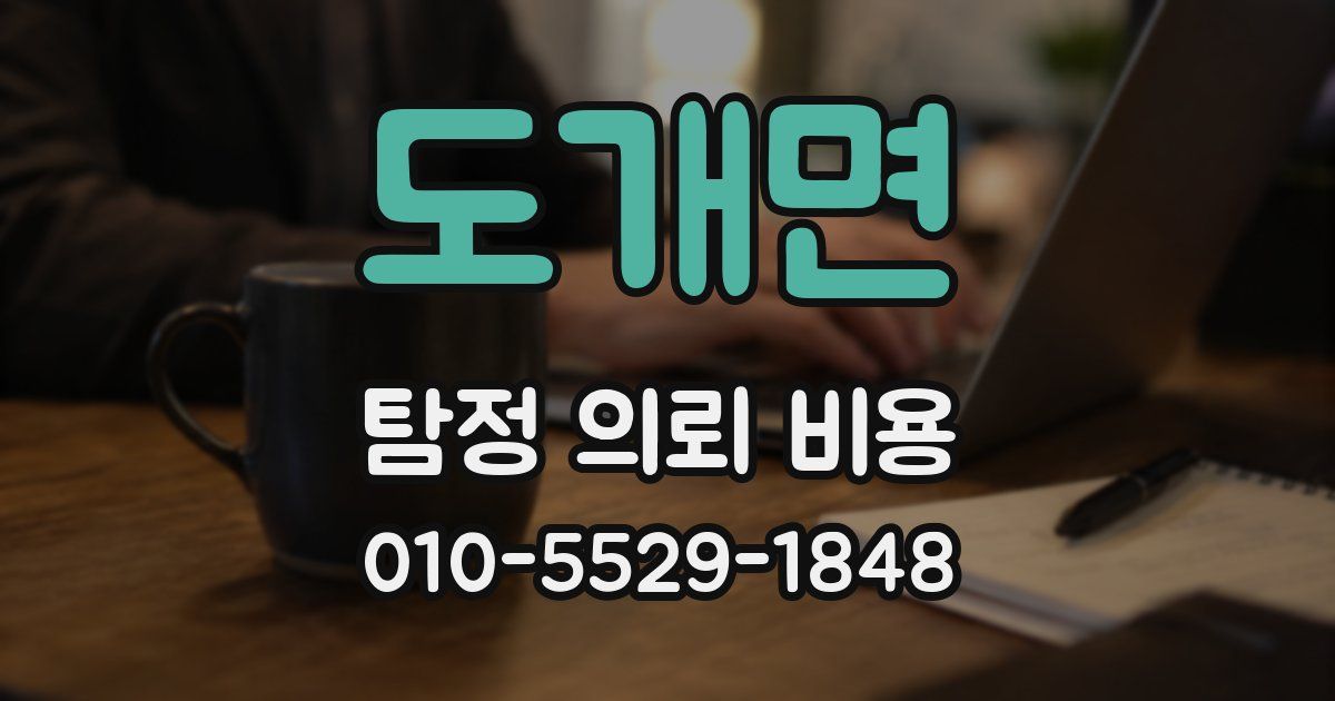 도개면 탐정 의뢰 비용