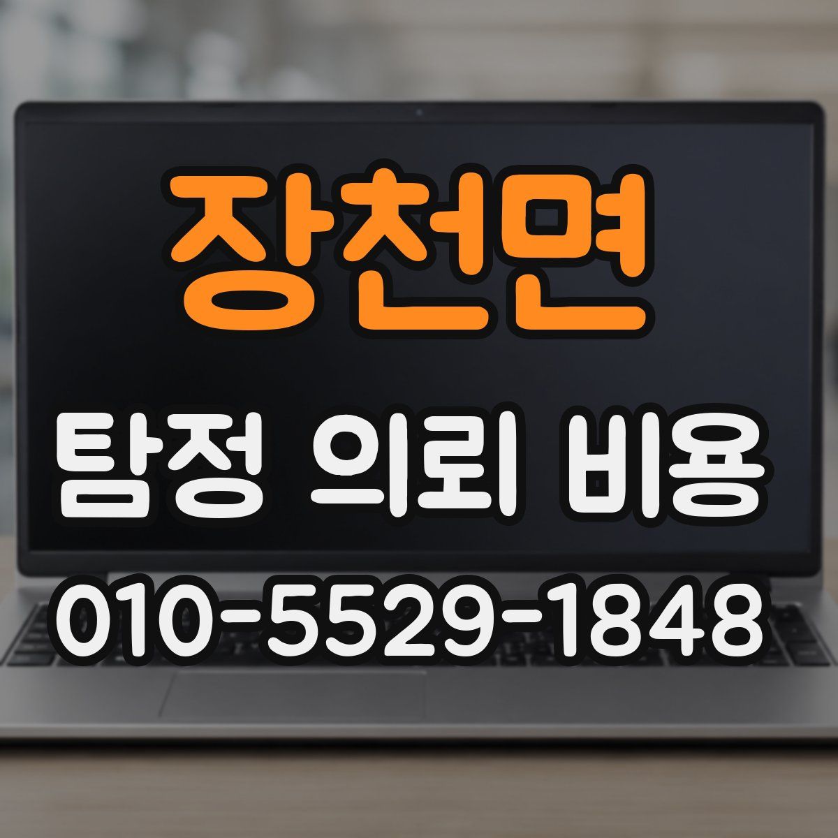 장천면 탐정 의뢰 비용