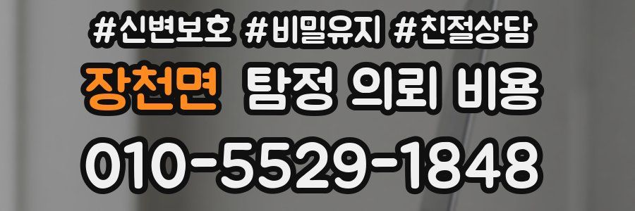 장천면 탐정 의뢰 비용