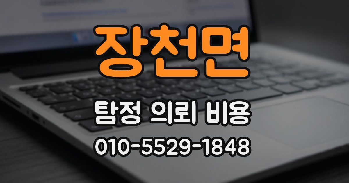장천면 탐정 의뢰 비용