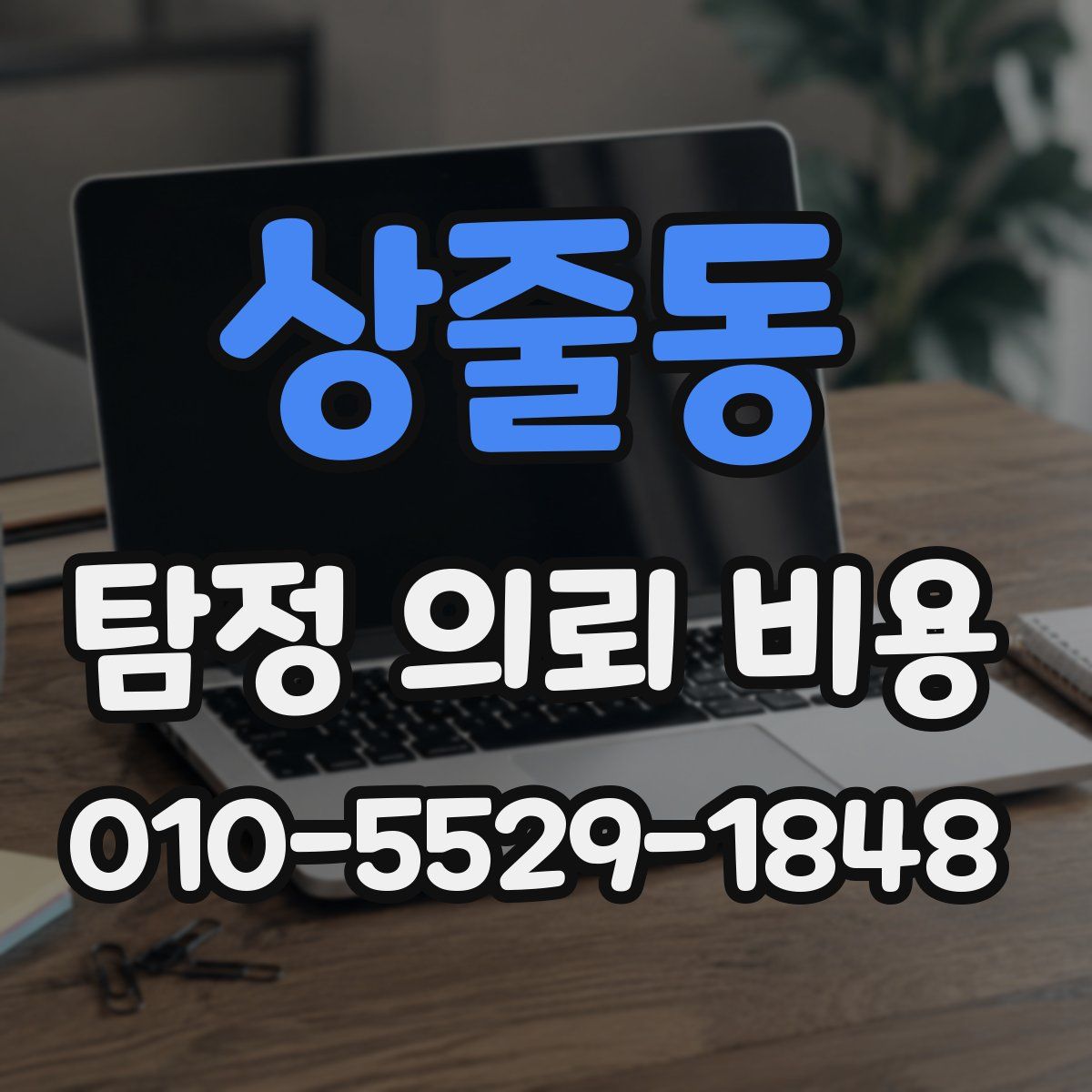 상줄동 탐정 의뢰 비용