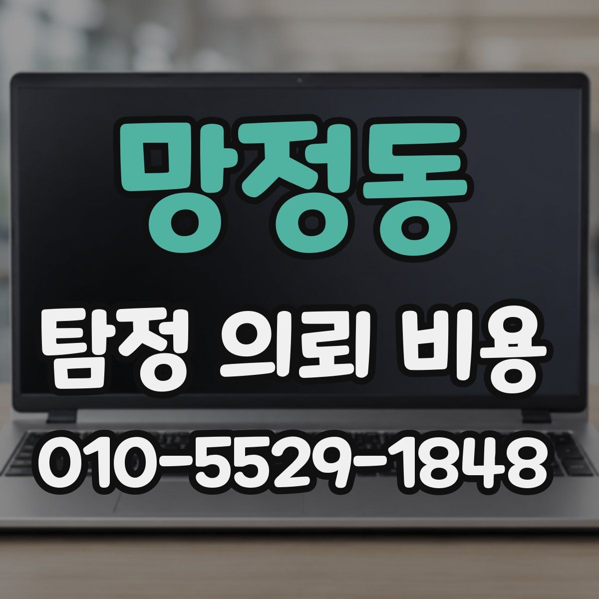 망정동 탐정 의뢰 비용