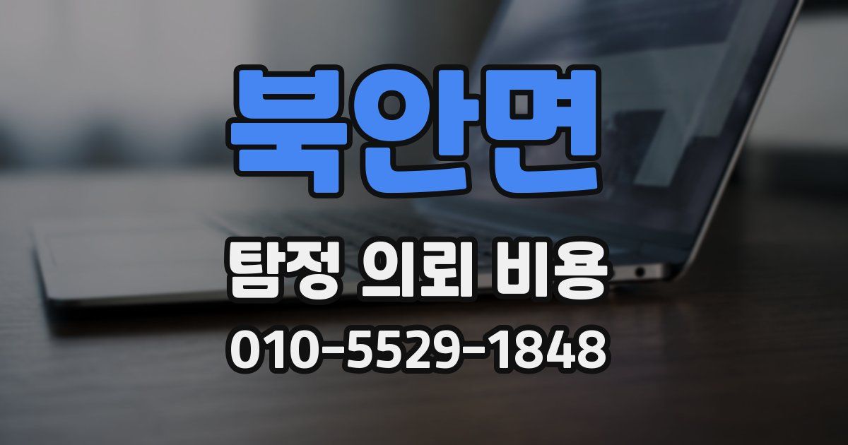 북안면 탐정 의뢰 비용