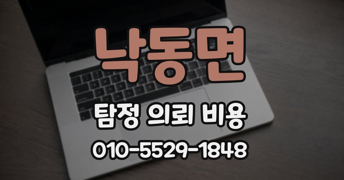 낙동면 탐정 의뢰 비용