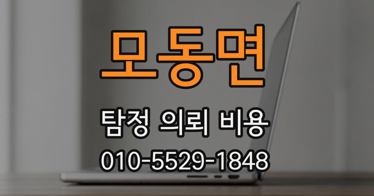 모동면 탐정 의뢰 비용