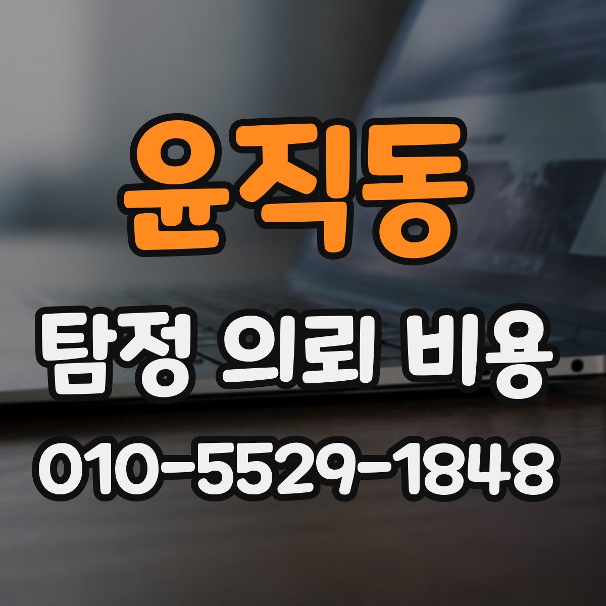 윤직동 탐정 의뢰 비용