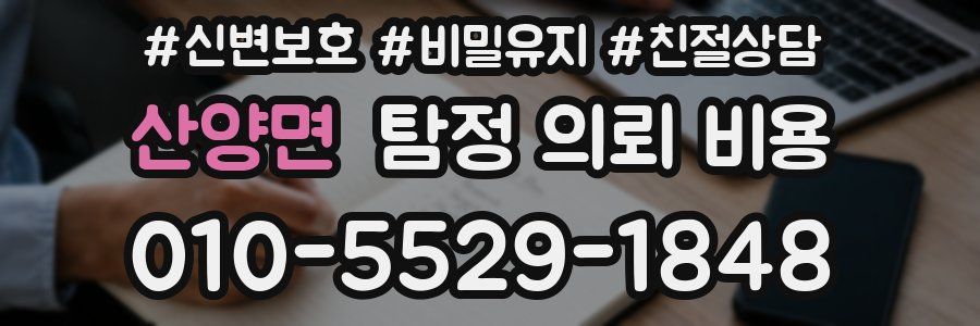 산양면 탐정 의뢰 비용